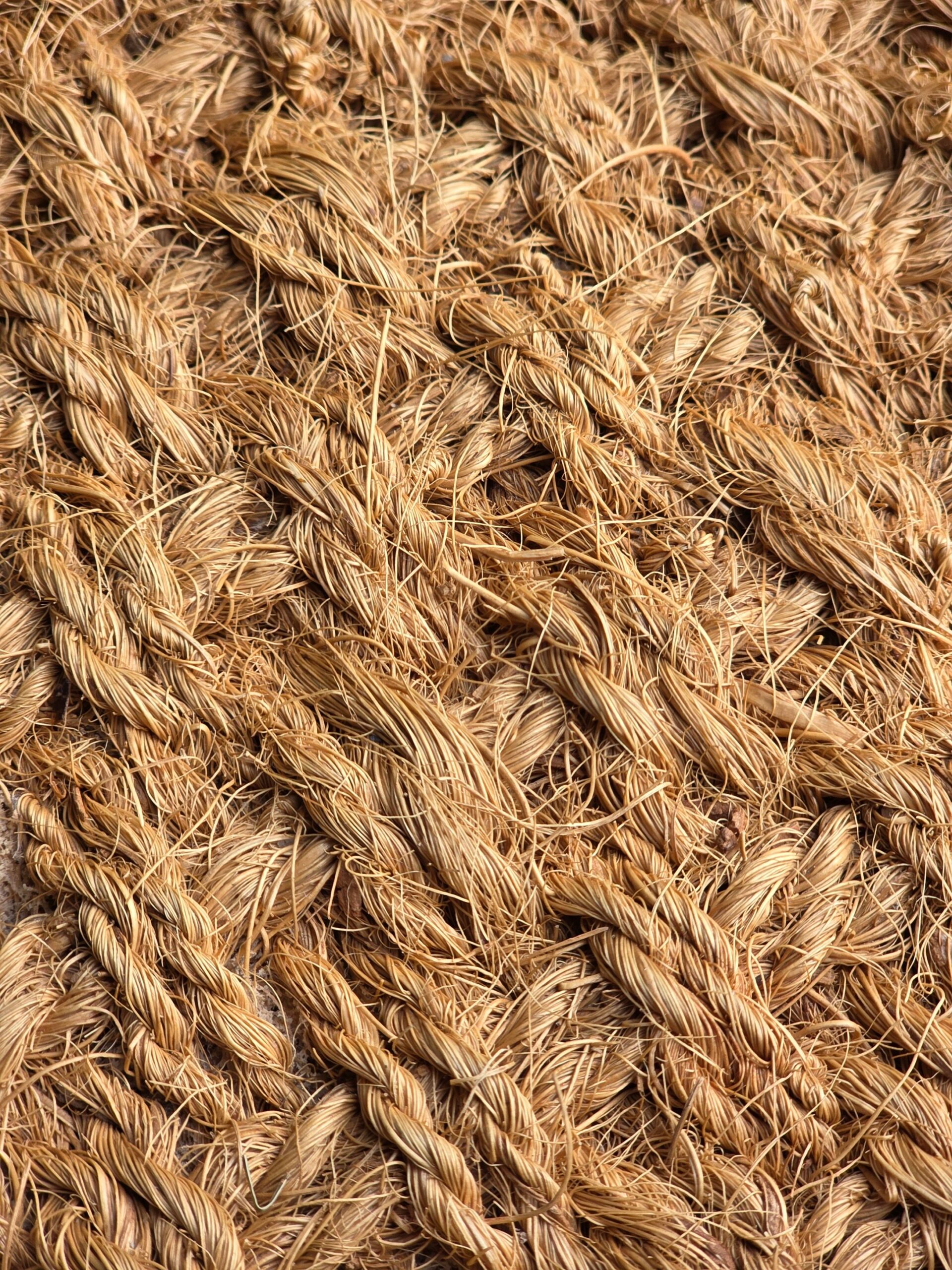 hemp fiber
